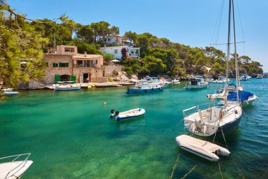 Mallorca 'daki Akdeniz kıyısı. Figuera Koyu. Turkuaz sular. İspanya