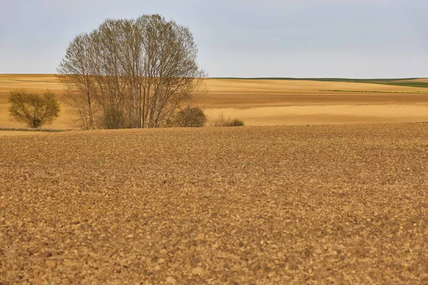 Mizerná Půda Připravená Setí Zemědělské Pole Čas Sklizně — Stock fotografie