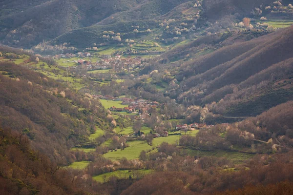 Mountain Forest Landscape Valley Castilla Leon Spain — Fotografia de Stock