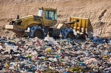 Heavy machinery shredding garbage in an open air landfill. Waste
