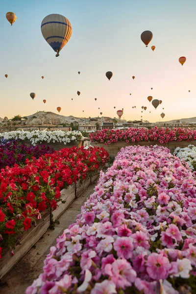 Balloons Rose Valley Cappadocia Colorful Sunrise Goreme Turkey — Stockfoto