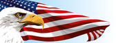 Az Amerikai Egyesült Államok nemzeti szimbóluma