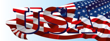 Amerika Birleşik Devletleri 'nin ulusal sembolü.