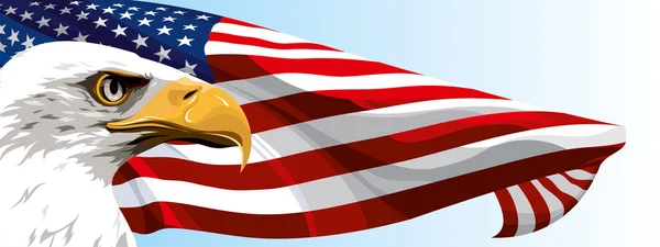 Das nationale symbol der vereinigten staaten von amerika — Stockvektor
