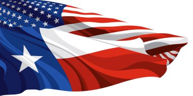 ABD 'nin Teksas bayrağı