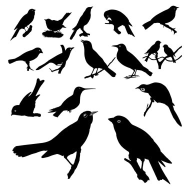 kuş silhouettes topluluğu