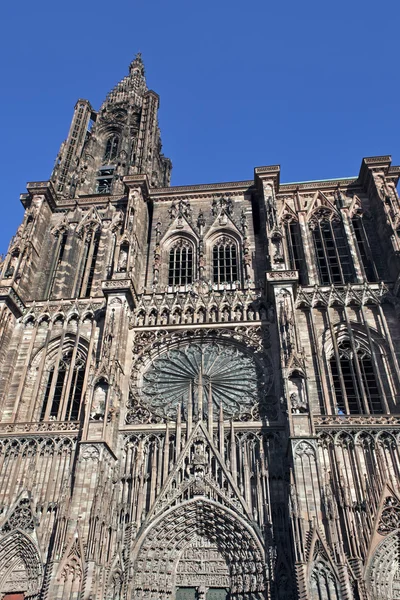 Καθεδρικός ναός του Στρασβούργου — Φωτογραφία Αρχείου