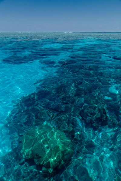 在澳大利亚的珊瑚礁 图库照片