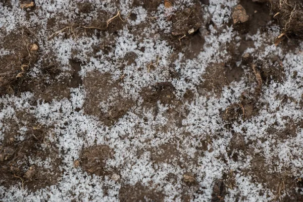 Soil with snow flake background — Stock Photo, Image