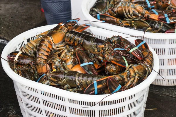 Aragosta fresca nel mercato dei frutti di mare Fotografia Stock