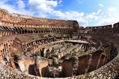 Roma colosseum