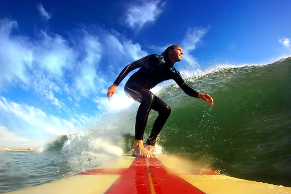 Longboard Surf — Fotografia de Stock