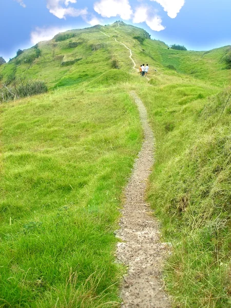 O caminho — Fotografia de Stock