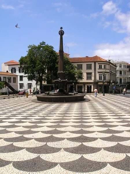 Madeira, Funchal Vity plaza — Stock Fotó