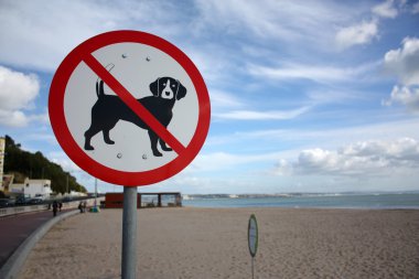 Köpeklere izin yok