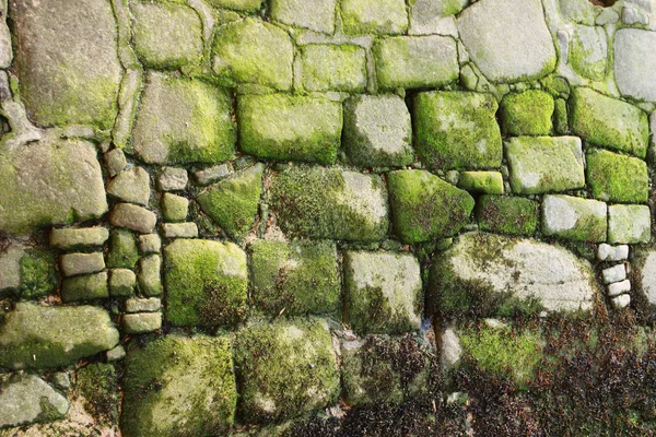 오래 된 바위 배경 — 스톡 사진