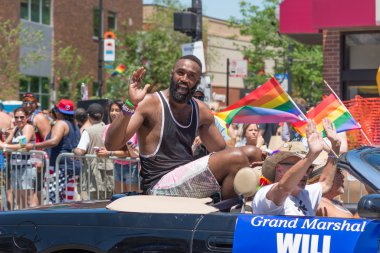 Chicago, gay geçit 2014