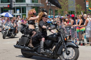 Chicago, gay geçit 2014