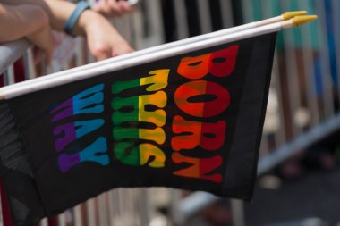 Chicago, gay geçit 2014