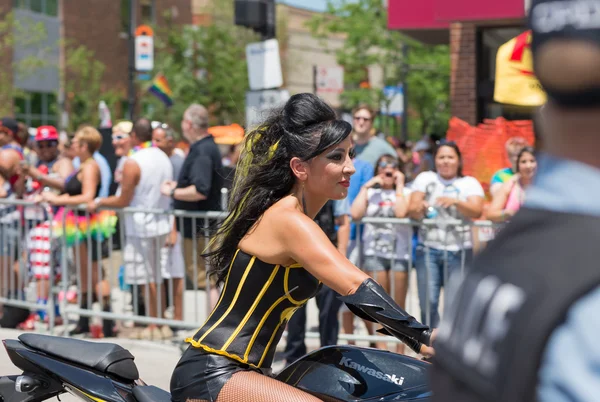 Homoseksuele parade in chicago, 2014 — Stockfoto