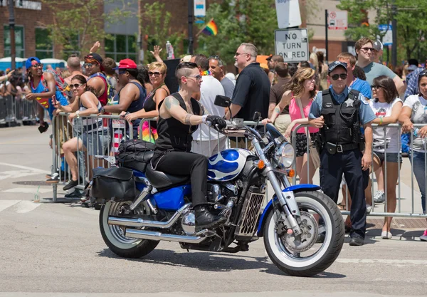 Homoseksuele parade in chicago, 2014 — Stockfoto