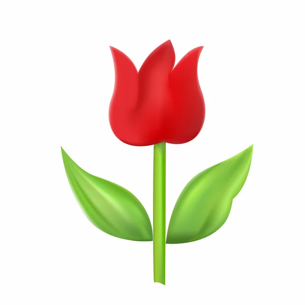 Red tulip — Stock Vector