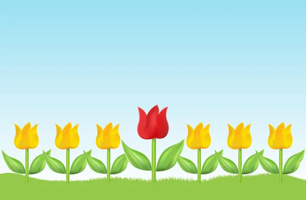 Prado de tulipanes — Vector de stock