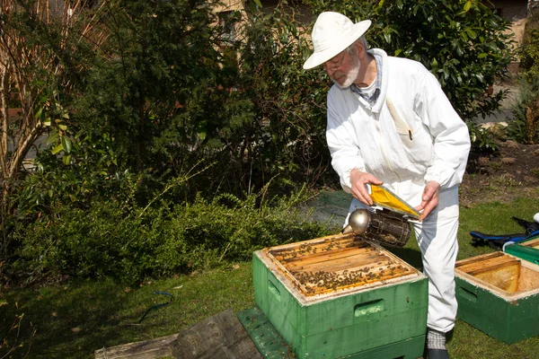 Duman arı kolonisi uygulayarak arıcı — Stok fotoğraf