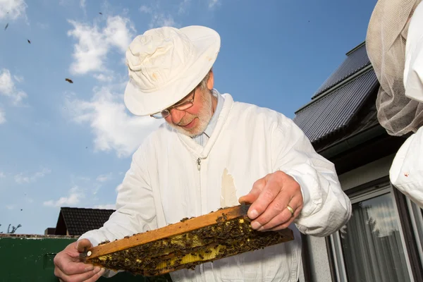 Imker kümmert sich um Bienenvolk — Stockfoto