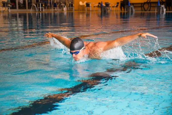 Man swims butterfly style in public swimming pool — Stock Photo, Image