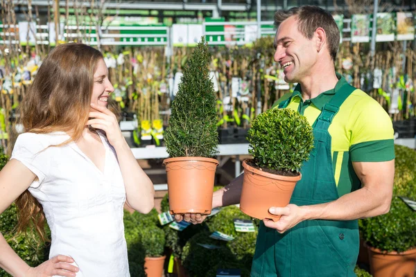 Trädgårdsmästare på plantskolan eller förskola presenterar boxtrees för kund — Stockfoto