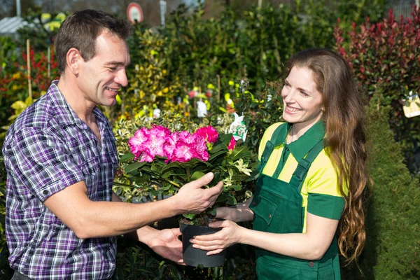 Fleuriste femelle mains fleur au client dans la boutique — Photo