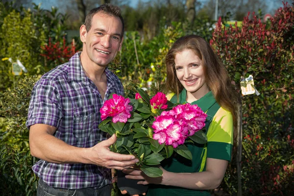 Female florist hands flower to customer in shop — Stock Photo, Image