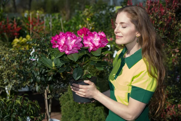 Florist att lukta på blommorna av krukväxter plan — Stockfoto