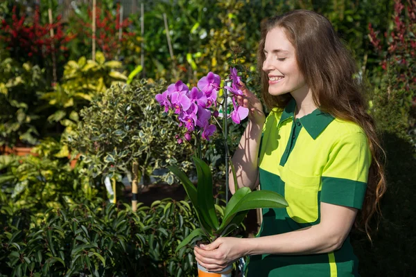 Florista ou jardineiro cheirando a flor — Fotografia de Stock