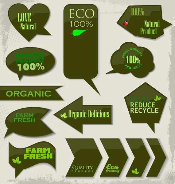 Zestaw etykiet ekologicznych — Wektor stockowy
