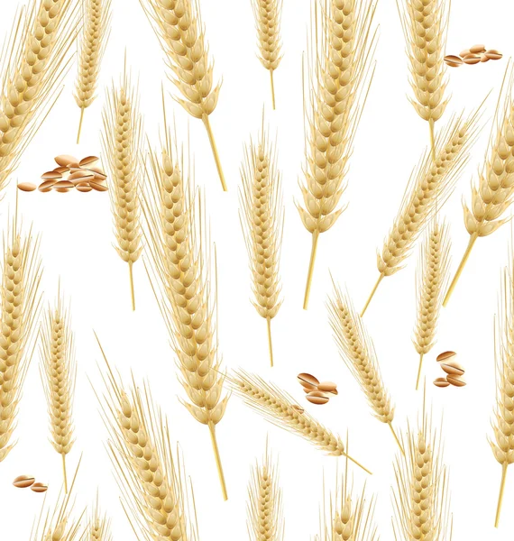 Weizen nahtloser Hintergrund — Stockvektor