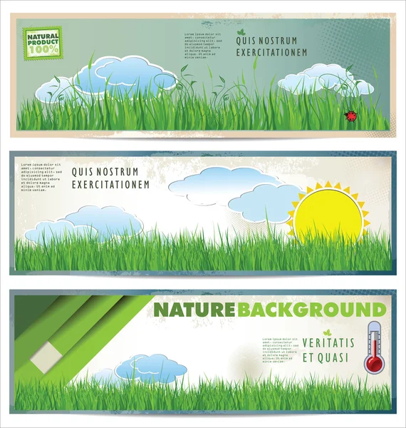 Conjunto de Banners de Primavera Natural — Vetor de Stock