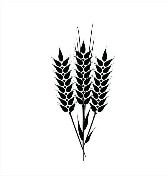 Diseño de trigo — Archivo Imágenes Vectoriales