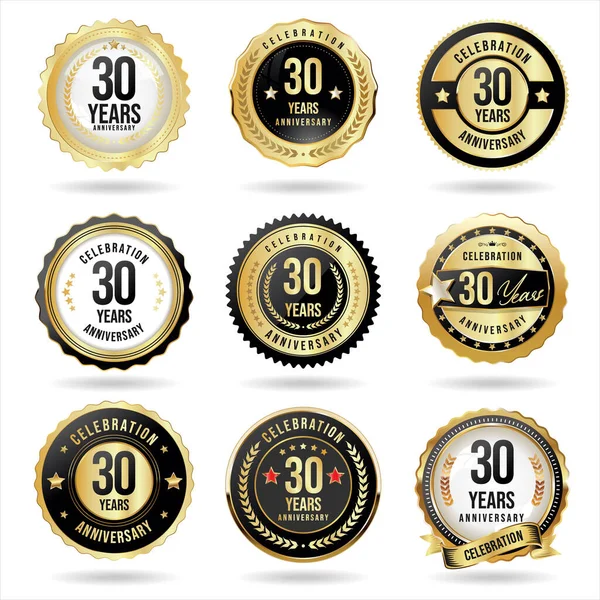 Colección Insignia Aniversario Oro Etiquetas Vector Ilustración — Vector de stock