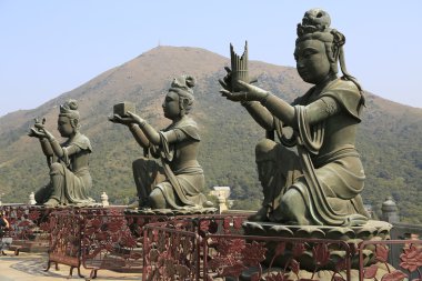 hong kong buda