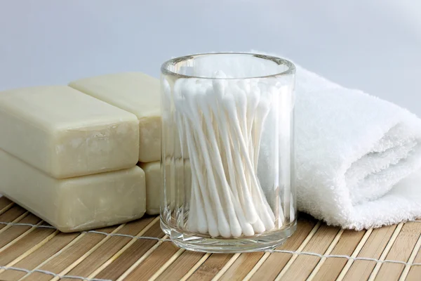 Hessisch Nationaal Theater in wiesbaden met standbeeld