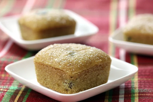 Mini Yılbaşı vegan kek yiyor