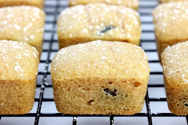 soğutma bir raf üzerinde Mini Pastalar