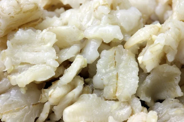 Tüm haddelenmiş yulaf portre