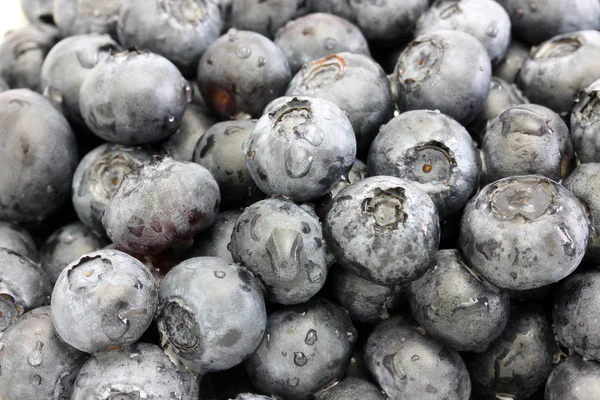 yıkanmış yaban mersini