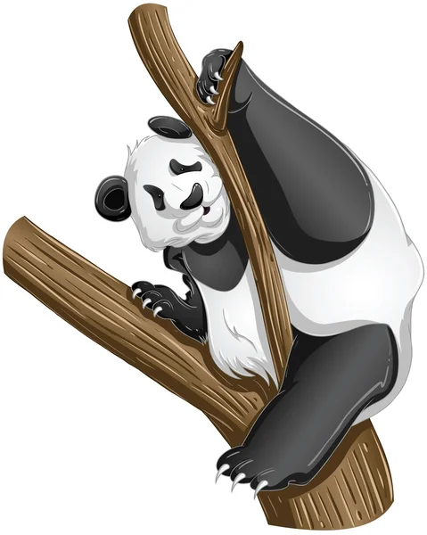 Panda Bear On Tree — Stock Vector