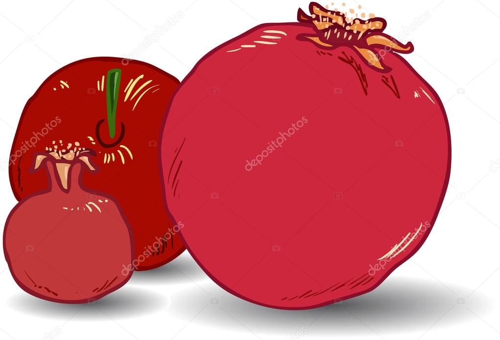 Pomegranates for Rosh Hashanah 1