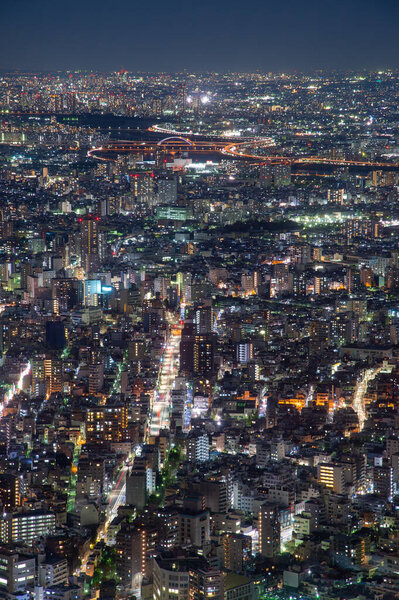 Tokyo city skyline at night