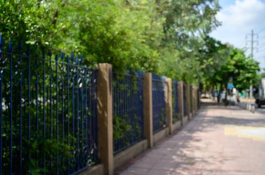 Parktaki patika, şehirdeki orman..